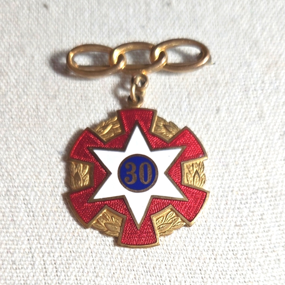 Odd Fellows 30 Year Member Pin Kansas 8222